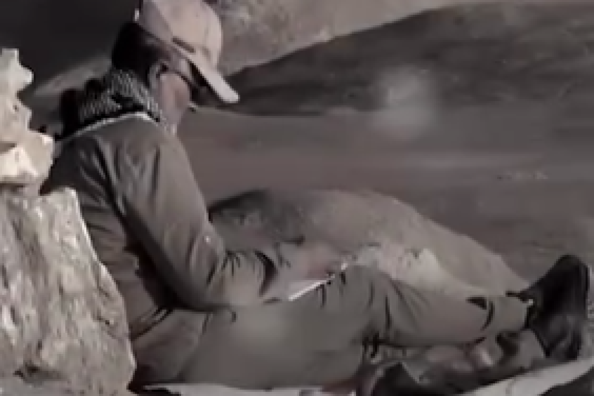 طَمَع شفاعت