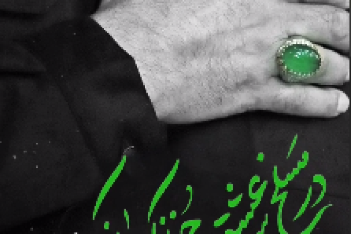 مجموعه ویدیو  : در مسلخ عشق جز نکو را نکشند